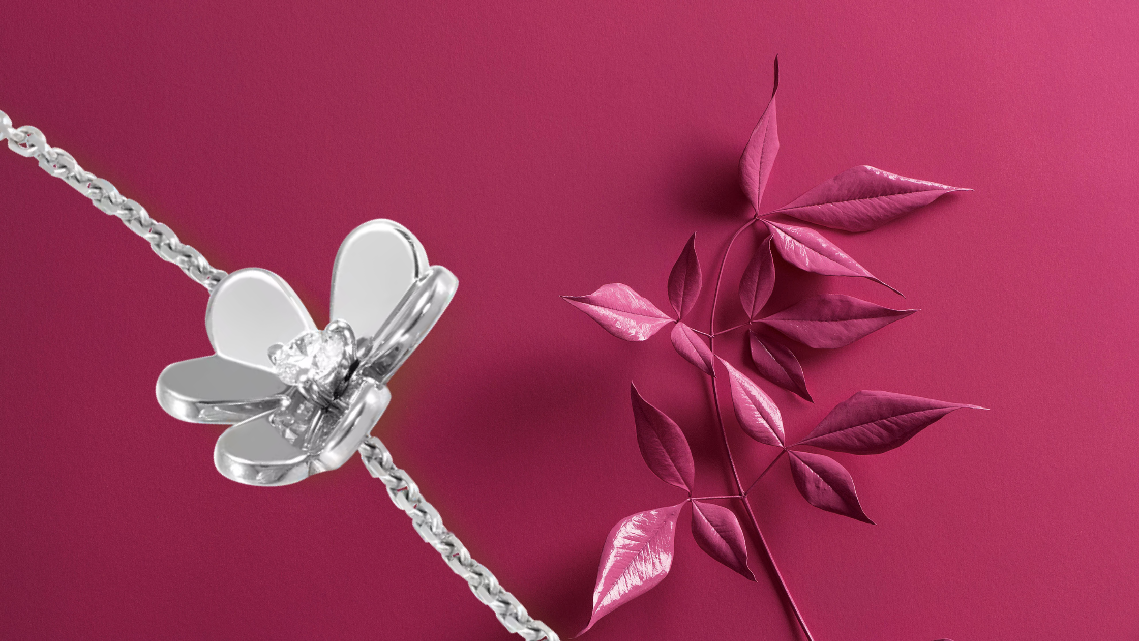 Van Cleef & Arpels Frivole white gold bracelet with diamond flower on magenta background beside metallic pink leaves.